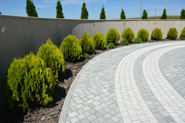 Reasons to Select Us for Your Driveway Paving Requirements in Redfield, AR